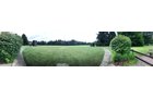 Property photo 45 - REAL ESTATE AUCTION - 211+/- ACRES IN 6 TRACTS IN BERRIEN COUNTY, MICHIGAN